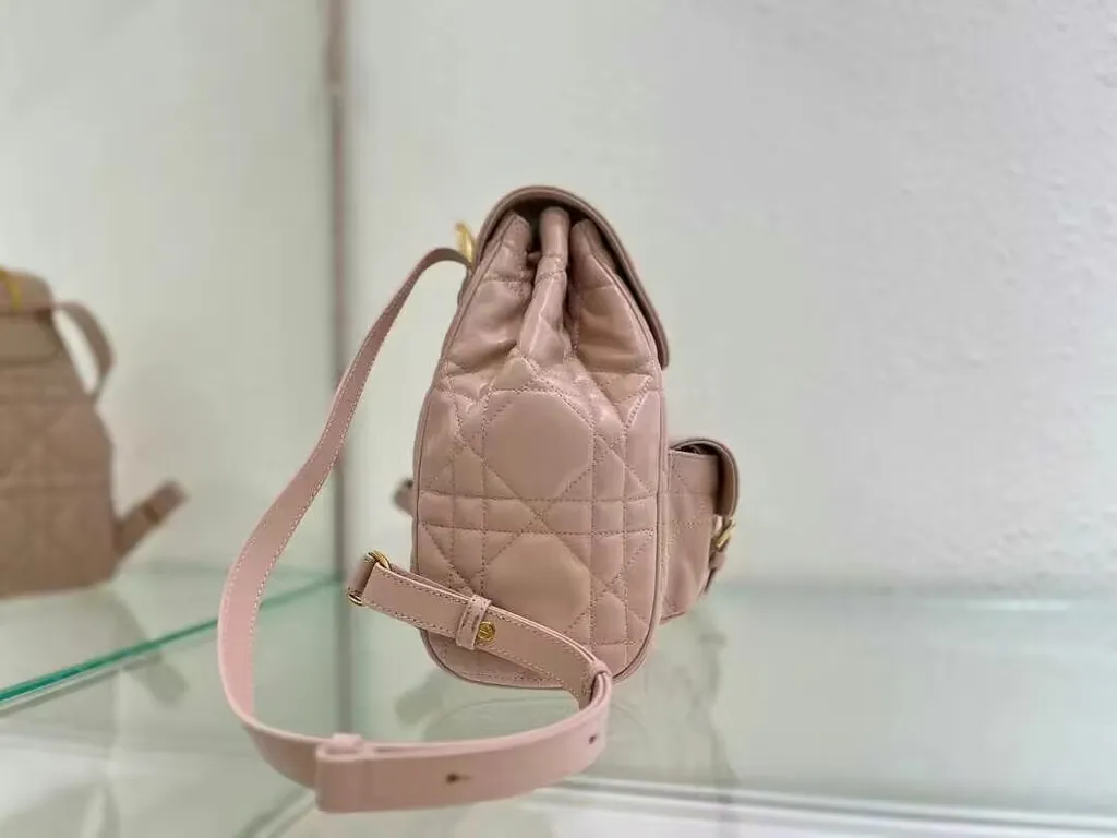 Dior Bag 